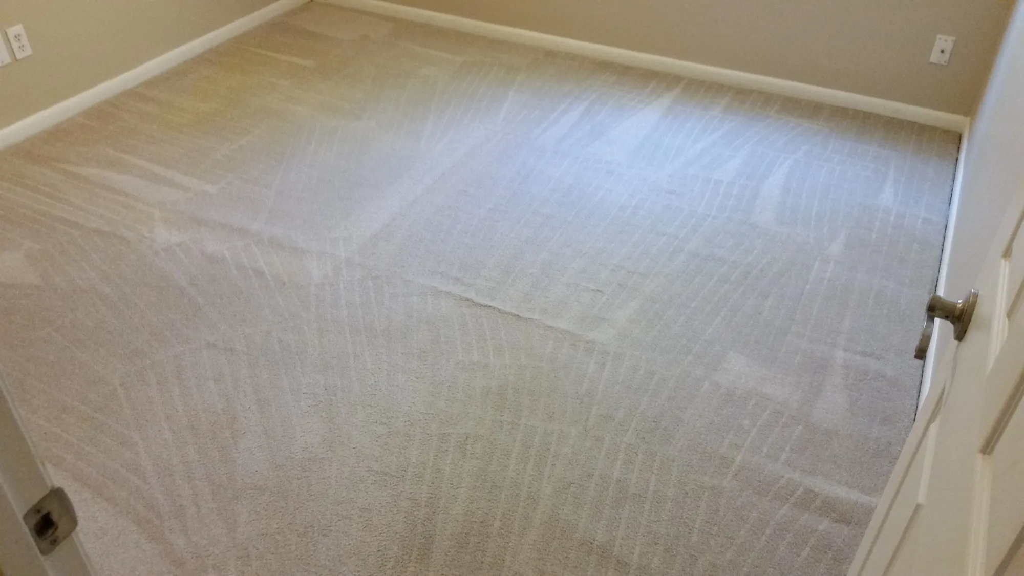 After picture of another dirty carpet