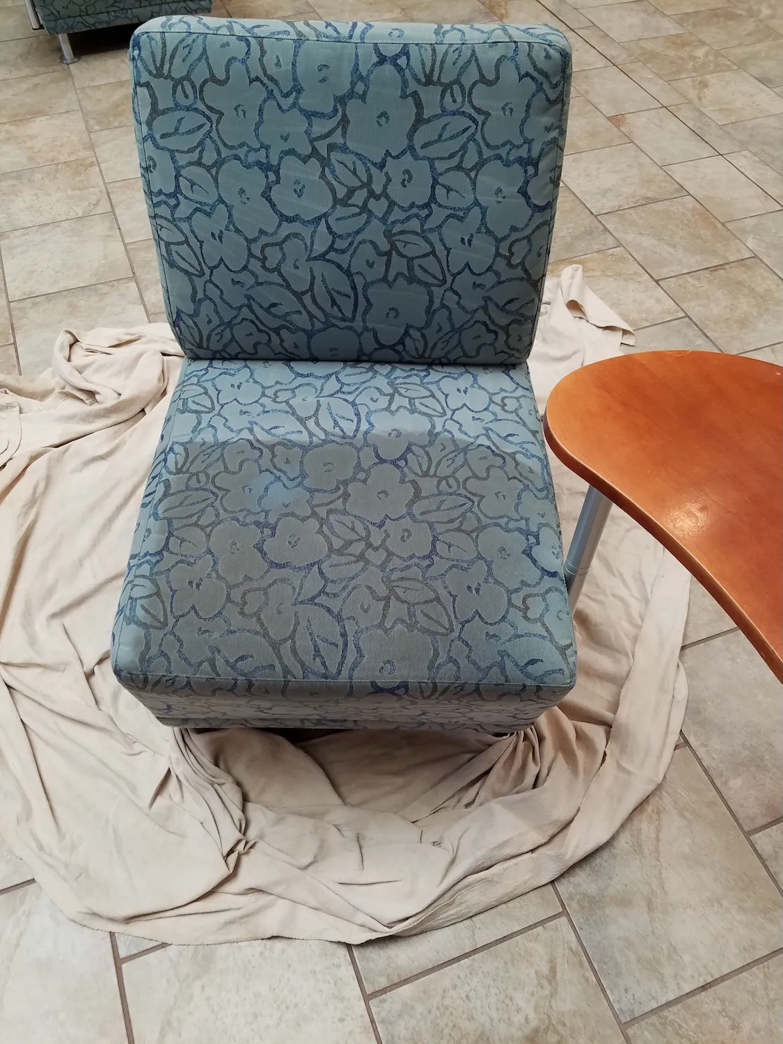 Before upholstery cleaning - soiled furniture