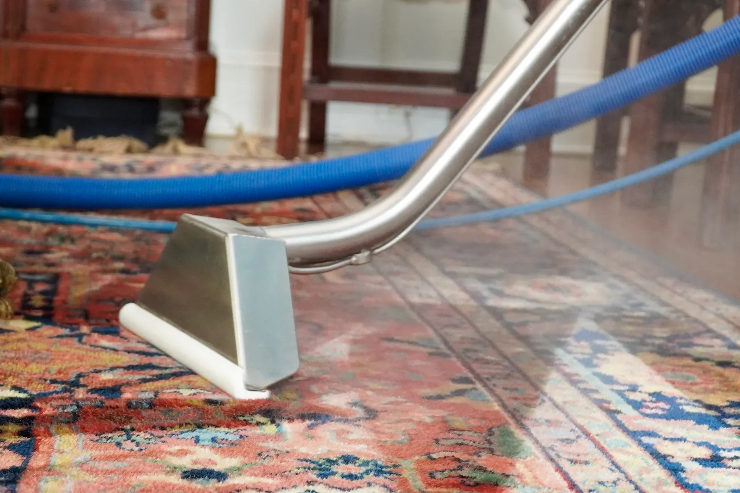 Professional health-focused cleaning service